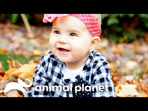 An Infant Suffers Paralysis From Infant Botulism Monsters Inside Me Animal Planet