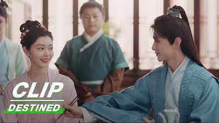 Newlyweds Show Their love While Eating | Destined EP05 | 长风渡 | iQIYI