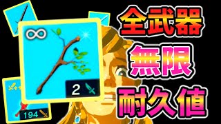 遂に全武器の耐久値を無限にする方法が見つかった！！！(ver1.0.0)【ティアキン TotK】裏技 バグ 検証 ゆっくり実況 glitch