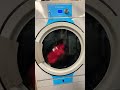 Dryer Electrolux T5675￼