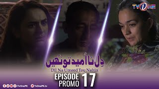 Dil Na Umeed Toh Nahi | Episode 17 Promo | Tv One Dramas