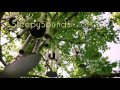 Peaceful Wind Chimes – 9 hours of relaxing windchimes for sleep, meditation, study