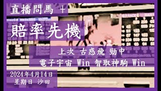 【賠率先機】+【直播問馬】賽馬號外! 上次 古惑飛 勁中 電子宇宙 Win 智取神駒 Win 全方位賠率資訊 讓大家早着先機