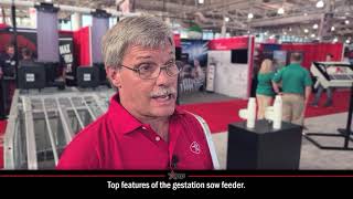 AP Swine’s Gestation Sow Feeder