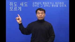 쥐도 새도 모르게 (한국복지대 한수 사전 한국수어1 해설 버전)