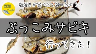 【ぶっこみサビキ】投げ釣り【国府津海岸】【西湘海岸】アジ連発！No.26