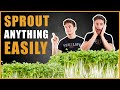 🌱How To Sprout ANYTHING - The Ultimate Guide To Sprouting