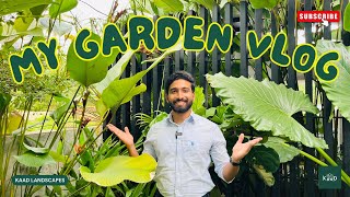 MY GARDEN VLOG | മുറ്റമില്ലെങ്കിലും ലാൻഡ്‌സ്‌കേപ്പ് ചെയ്യാം | COMPLETE PLANT AND STONE DETAILS| KAAD