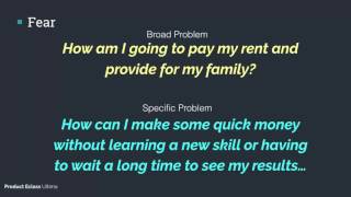 Module 01 - Video 04 - Specific Examples Of Profitable Problems: Fear