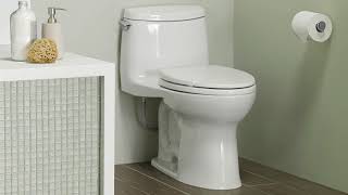 TOTO Ultramax II Review - Is It Wrong To Love A Toilet?