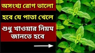 অসংখ্য রোগ থেকে মুক্তি দেবে যে পাতা খেলে সুধু খাওয়ার নিয়ম জানতে হবে/পুদিনা পাতার উপকারিতা/পুদিনাপাতা