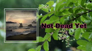 Lord Huron - Not Dead Yet (Lyrics)