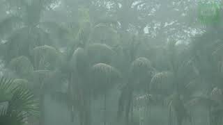 ঝিনাইদহে শীতল বৃষ্টি Rain In Jhenaidah