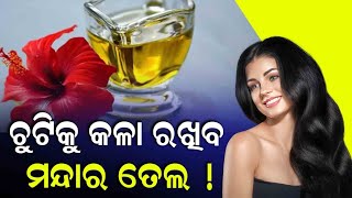 ଆପଣଙ୍କ ଚୁଟି ଧଳା ହେଇଯାଉଛି କି ? ତେବେ ଲଗାନ୍ତୁ ମନ୍ଦାର ତେଲ ! ।। Ambika TV