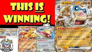 Mamoswine is Winning the Pokémon TCG! This is Legit! THIS IS REAL! (Pokémon TCG News)