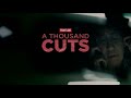 'A Thousand Cuts' to air on 'Frontline'