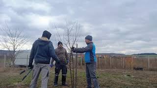 Зимна резитба - открит урок в махалата