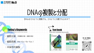 No 9　DNAの複製と分配