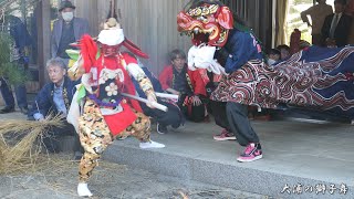 氷見 大浦の獅子舞 花 2023年/ 富山県氷見市