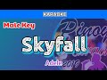 Skyfall by Adele (Karaoke : Male Key)