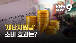 1차 재난지원금 소비진작 효과 30% 정도…대면서비스·음식점업엔 미미 / KBS