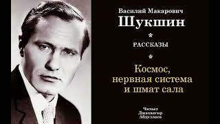 Космос, нервная система и шмат сала #ВасилийШукшин #Шукшин #джахангирабдуллаев #аудиокнига #рассказ