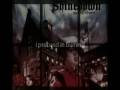 Shinedown Burning bright lyrics