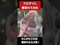 主食が二枚貝の魚に指を噛まれるとこうなる 釣り チヌ クロダイ