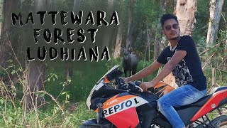 #vlg_10/ we lost in mattewara forest ludhiana / ssswarajfilms / animal safari with lots of fun