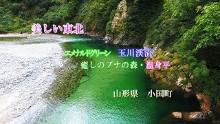 エメラルドグリーン　玉川渓流　癒しのブナの森　温身平　山形県小国町