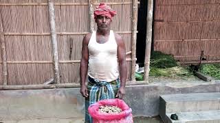 Ekangi Cultivation in West Bengal