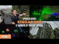 Episode 4: A Singapore ‘Gardens by the Bay’ Special (August 2024)