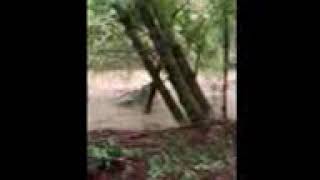 Austin Creek flooding in Cazadero