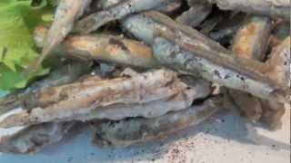 How to make Fried Anchovies Recipe