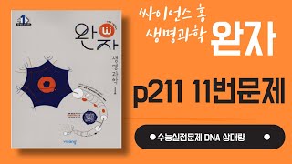 완자 생명  p211 (11번) 수능 실전문제 #완자 생명과학1