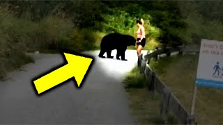 Bear Tries To Get Attention From Runner   When She Realizes Why, She Decides To Follow Him