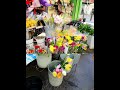 【吉隆坡旅遊🇲🇾🤩】kl🌺city florist kualalumpur 花店 florist flowers malaysia 吉隆坡旅遊 茨廠街