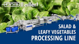 Salad Processing Line For Washing And Drying Lettuce - Finis || Eillert