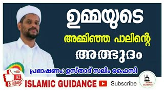 ഉമ്മയുടെ അമ്മിഞ്ഞപാലിന്റെ അത്ഭുദം മുഴുവൻ കേൾക്കാൻ ശ്രമിക്കുക|Islamic Guidance | Salim Faizy Kolathur