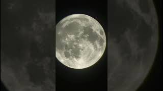 Full moon on Vaisakha Pournami (Vaikasi Visakham)