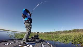 River2Sea Pro Ish Monroe MLF Highlights from Toho