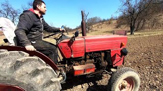 UTB 445 V- A small \u0026 powerful romanian tractor-Farming day-Plant Potatoes