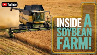 How Millions of Tons of Soybeans Are Grown \u0026 Harvested! 🌱🚜