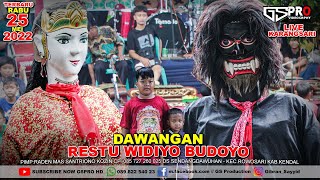 Dawangan kendal RWB | Restu Widiyo Budoyo Sendangdawuhan | live Karangsari - Rowosari