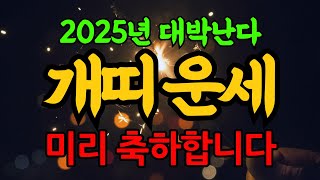 46년 58년 70년 82년 94년 개띠 운세 ㅣ 2025년 을사년 1월 개띠 운명ㅣ 대박운 축하합니다