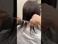 【衝撃】ばっさり切るきっかけは人それぞれ✂︎ ミニボブ カット動画 ボブ