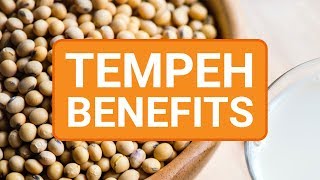 Top 5 Health Benefits of Tempeh