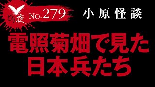 【沖縄怪談】No.279 小原怪談18「日本兵、電照菊畑に現る」【茂みから出てきたものは】