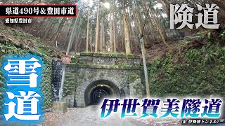 険道走ってみたら・・・【県道490号＆豊田市道】Part 3