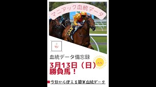 【競馬予想】3月13日（日）マニアック血統データから導く推奨馬！ #shorts